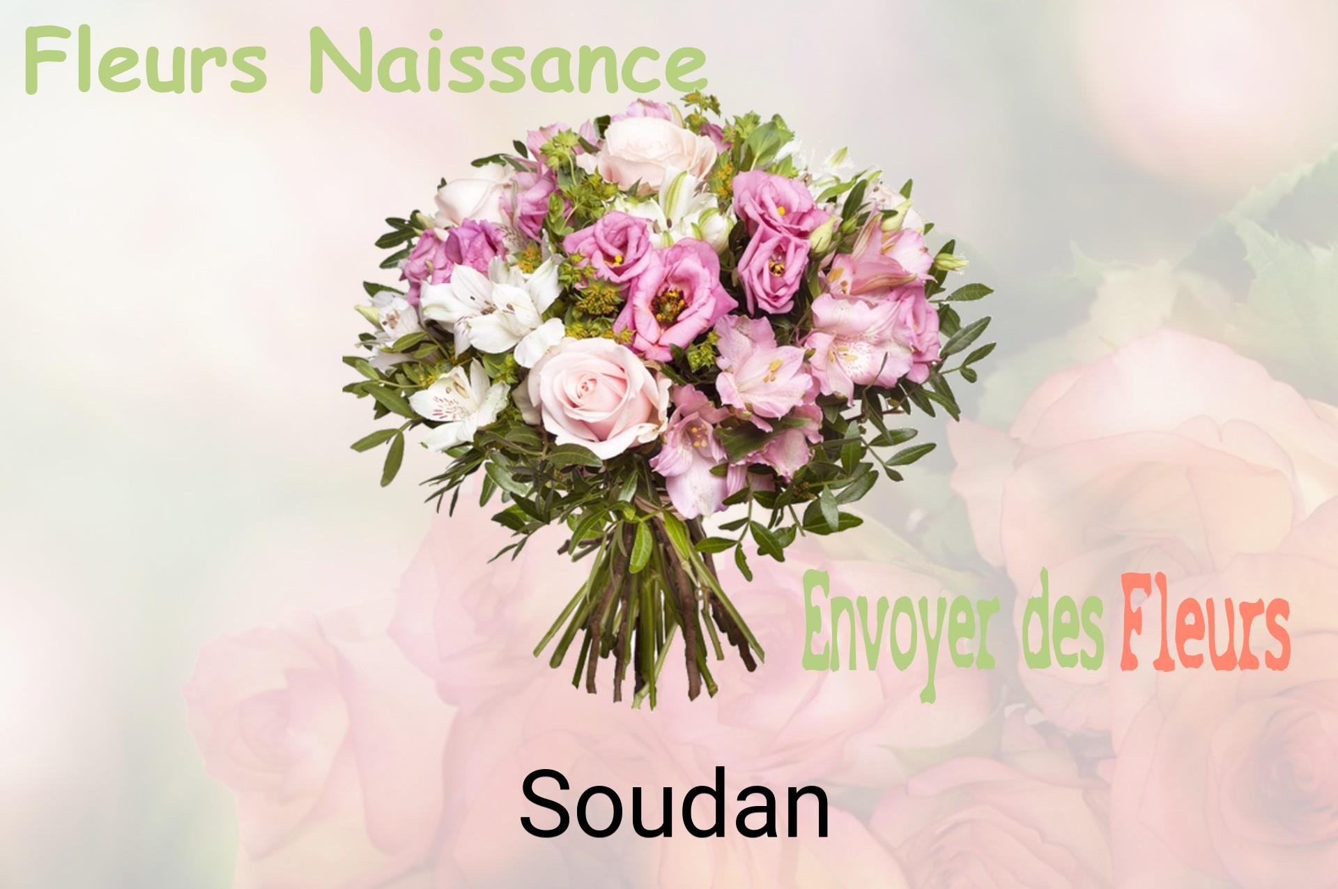 Bouquet de fleurs de naissance livré à Soudan